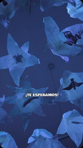 Exposición El ciclo de dar y recibir