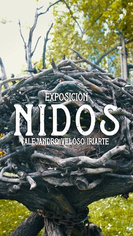 Nidos - Alejandro Veloso Iriarte