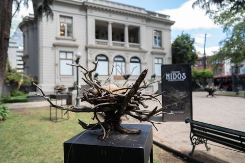 Exposiciones: Claudia Ríos, Alejandro Veloso Iriarte, Soledad Omeñaca y Valentina Garretón
