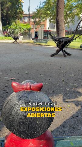 Exposiciones: Claudia Ríos, Alejandro Veloso Iriarte, Soledad Omeñaca y Valentina Garretón