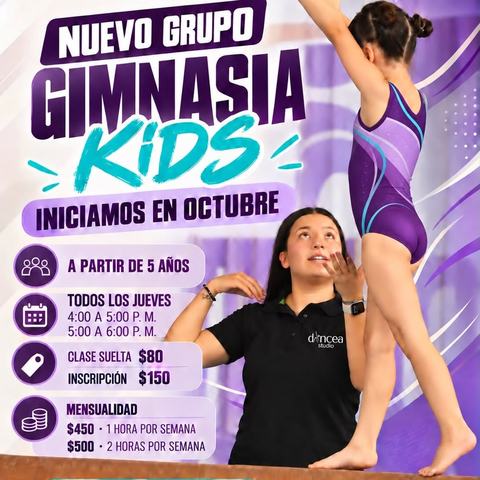 Kids Artistic Gymnastics