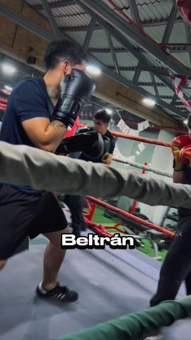 Clases de Boxeo La Casa del Lobo