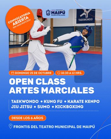 Open Class Artes Marciales Maipú