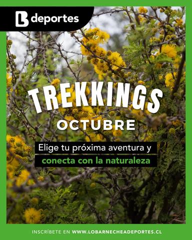 Trekking Cerro del Medio (Día de los Cerros)