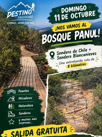 Bosque Panul Route: Sendero de Chile and Blancanieves
