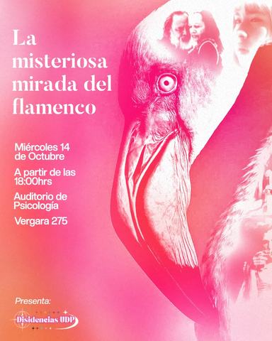 La Misteriosa Mirada del Flamenco
