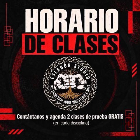 Clases de Artes Marciales Mixtas