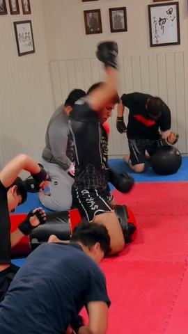MMA & Ground and Pound