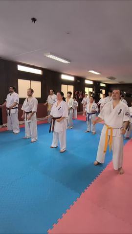 Entrenamiento Kyokushin Dojo Okoru