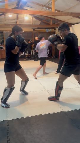 Dojo Puente Alto