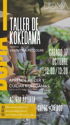 Taller de Kokedama