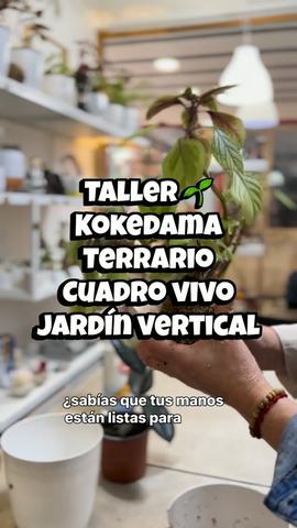 Workshops: Kokedama, Terrariums, and Gardens