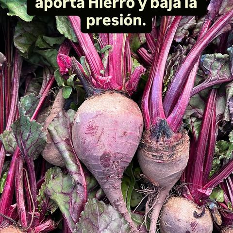 Ecoferia de la Reina