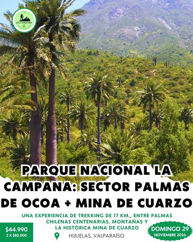 Trekking Palmas de Ocoa y Mina Cuarzo
