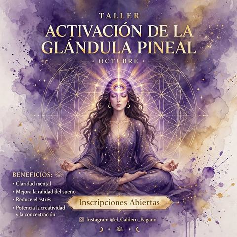Taller Activación Glándula Pineal