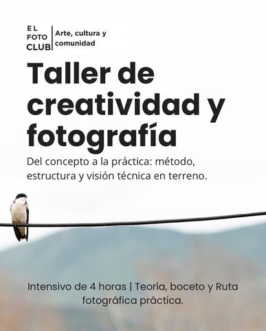 Taller de Creatividad y Fotografía