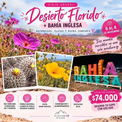 Viaje Desierto Florido y Bahía Inglesa