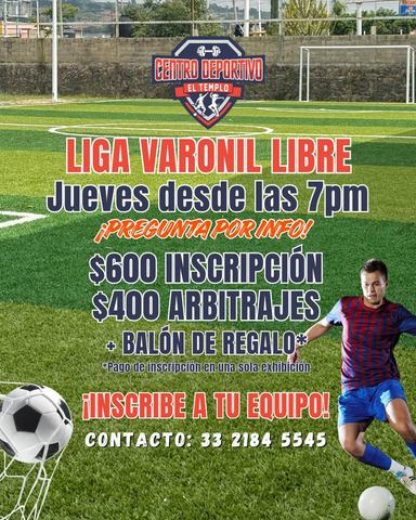 Men's Open FUT6 League