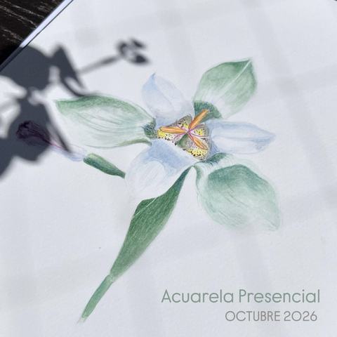Clases de Acuarela Botánica