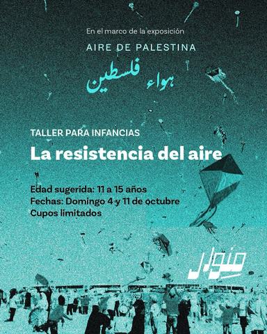 Taller La resistencia del aire