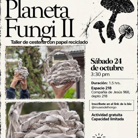 Planeta Fungi II: Taller de Cestería