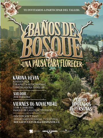 Baños de Bosque: Una pausa para florecer