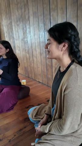 Instrumento Vivo: Voice Workshop