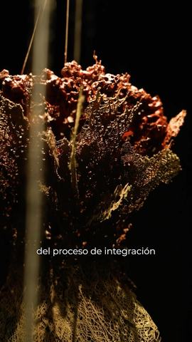 Ojos del alma