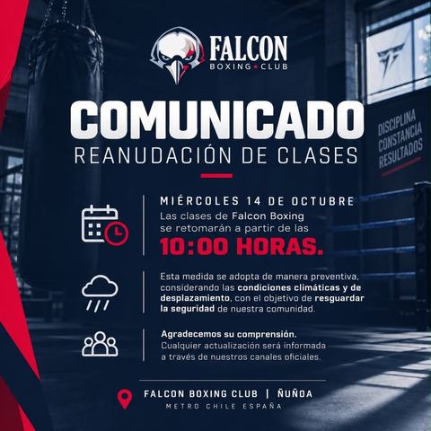 Falcon Boxing Club classes
