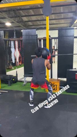Clases de Muay Thai Ludus Santiago