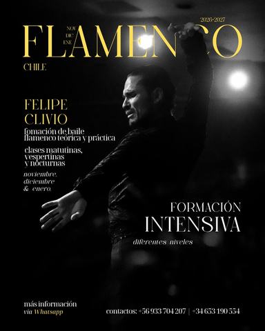 Formación de Flamenco Felipe Clivio