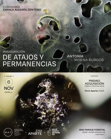 Of Shortcuts and Permanences - Antonia Moena Burgos