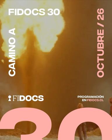 Camino a FIDOCS 30