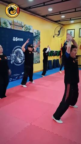 Clases de Kung Fu Tradicional Folung Men