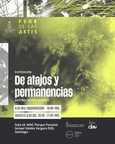 Exhibition De atajos y permanencias
