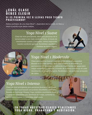 Academia Chilena de Yoga