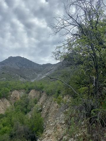 Amigos del Cerro