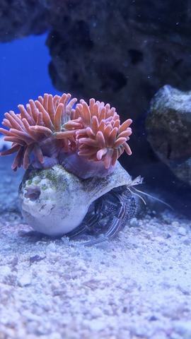 Aquamundo Aquarium