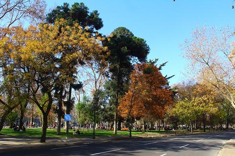 Parque Forestal