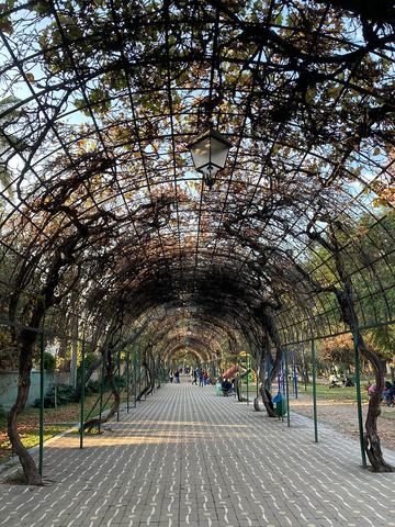 Parque Juan XXIII