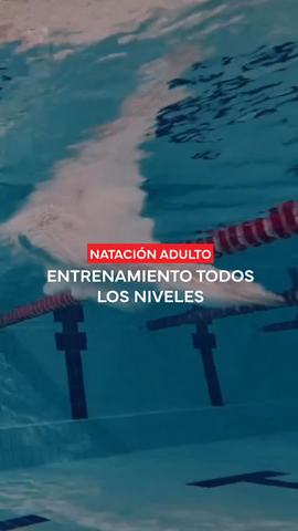 Entrenamiento Natación Adulto FRONTT