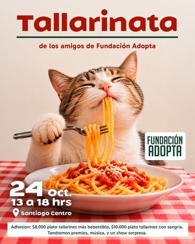 Tallarinata Fundación Adopta