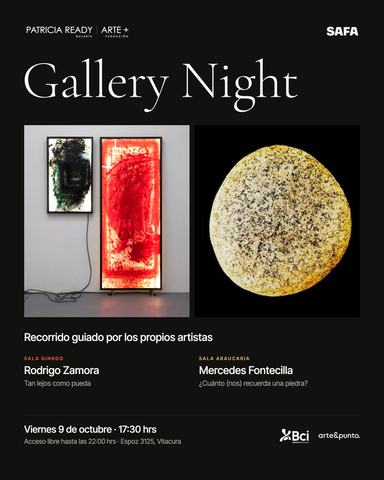 Noche de Galería SAFA - Visita con artistas
