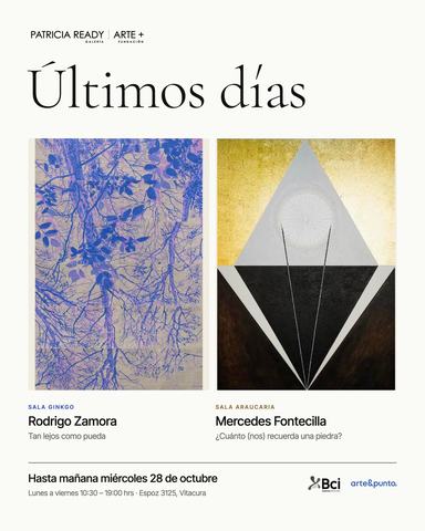 Exposiciones Rodrigo Zamora y Mercedes Fontecilla