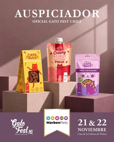 Gato Fest 16