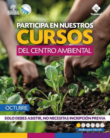 Plantas medicinales