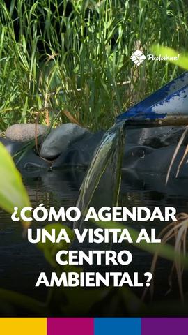 Visits to the Pudahuel Environmental Center