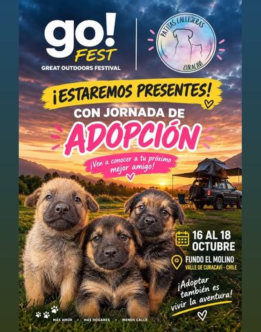Jornada de Adopción Patitas Callejeras en Go Fest