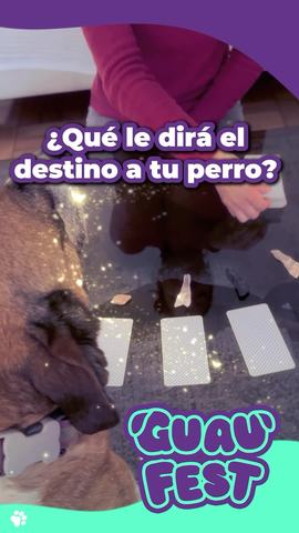 GuauFest - Doggy Tarot