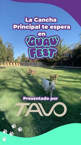 GuauFest - Parque para perros